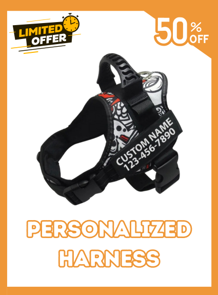 Custom Dog Harness Adjustable Neck Strip & Chest Strip Dog Harness