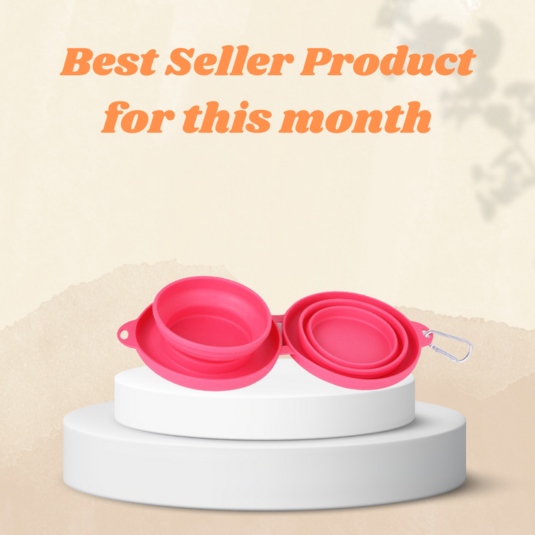 Foldable Pet Feeding Bowl