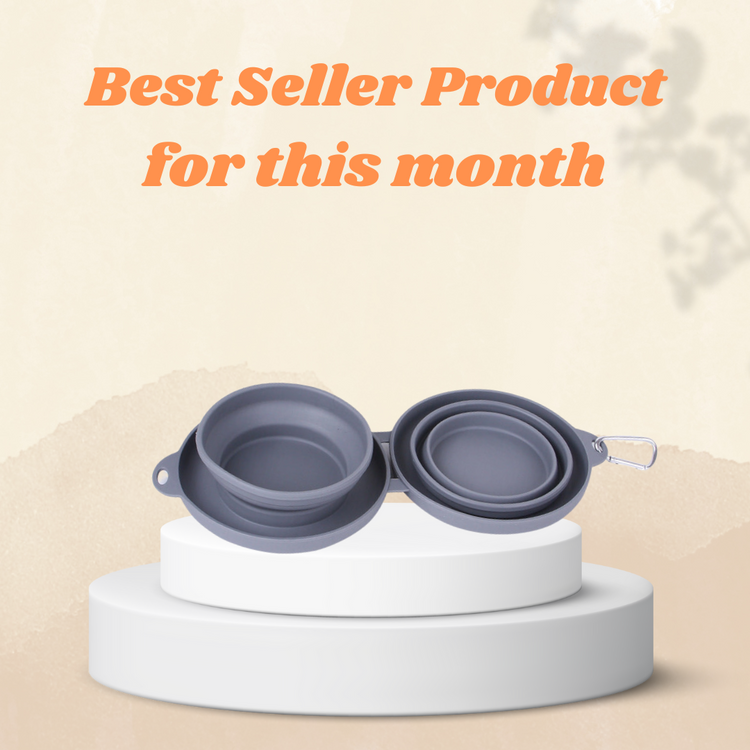 Foldable Pet Feeding Bowl