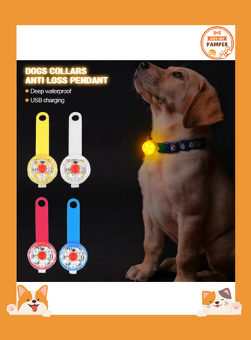 Dogs Collars Anti Loss Pendant Waterproof