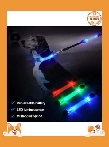 Dog Anti Lost Safety Glowing Collar