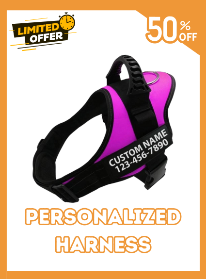 Custom Dog Harness Adjustable Neck Strip & Chest Strip Dog Harness