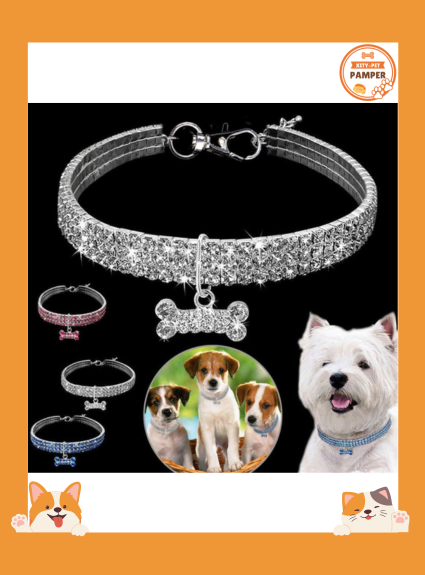 Sparkle & Style Rhinestone Dog Collar with Leash for Small to Medium Pets