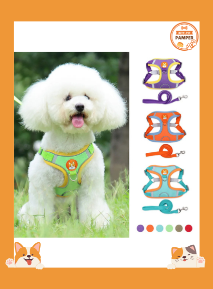 Comfort & Safety Reflective No Pull Harness and Leash Set