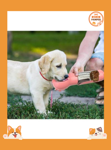 3 In 1 Dog Water Bottle Pet Water Bottle Feeder Bowl