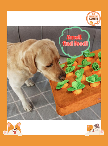 Carrot Crunch: Plush Chew Toy & Snuffle Mat for Dogs and Cats
