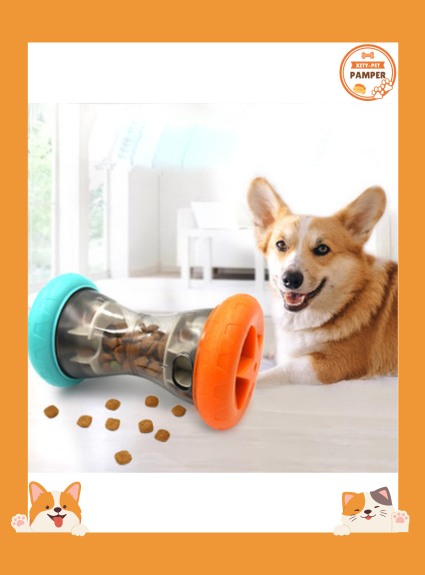 Barbell Shaped Dog toys