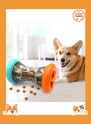 Barbell Shaped Dog toys