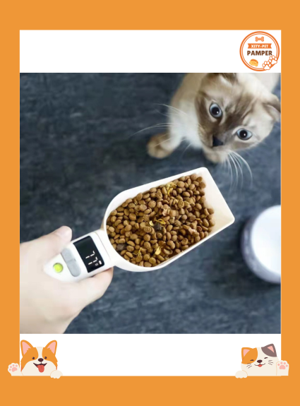 Pet Food Spoon Transparent with Scale Measurement