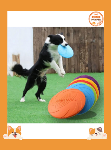 Eco Friendly Silicone Dog Flying Disk Durable & Interactive
