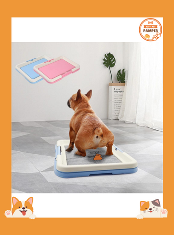 Portable Indoor Dog Potty Convenient Pet Toilet
