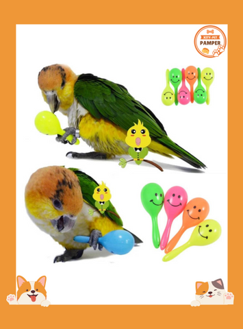 Interactive Parrot Sand Toys Set of 3