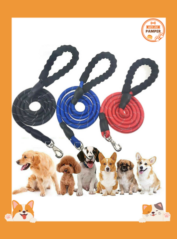 Run Buddy Reflective Hands Free Dog Leash with Adjustable Waist and Padded Handle