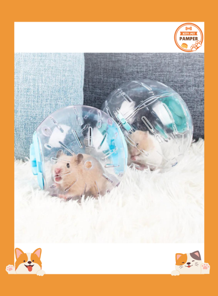 Plastic Small Pet Exercise Ball Outdoor Sport Toy