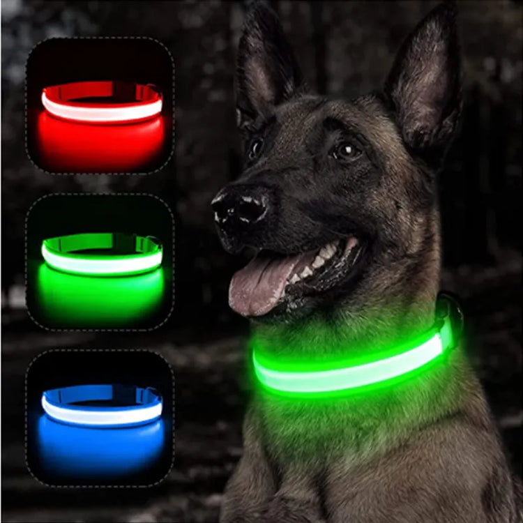 Dog Collar LED Glowing
