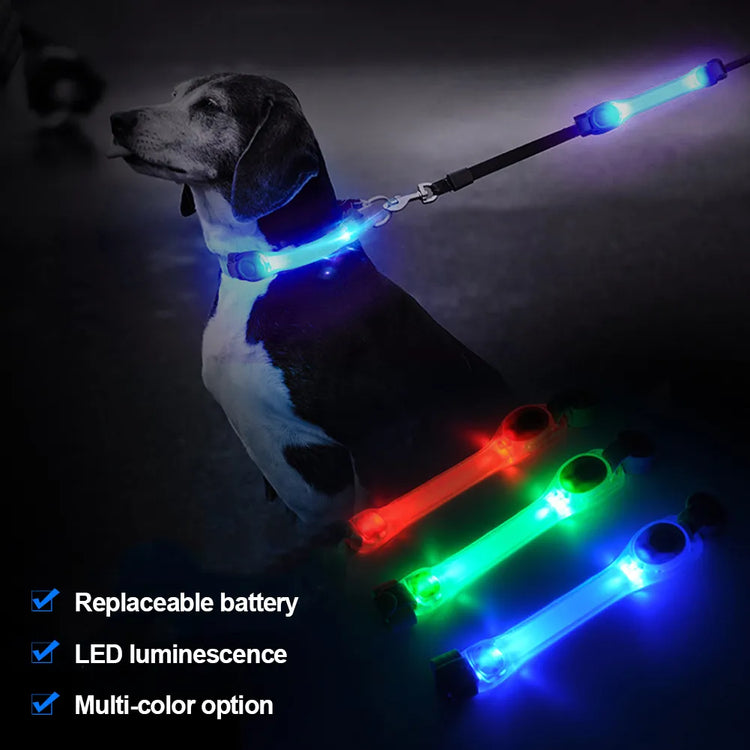 Dog Anti Lost Safety Glowing Collar