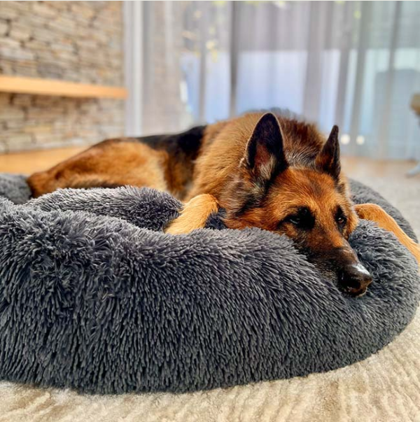 XITY-PET™ Deep Sleep Pet Bed