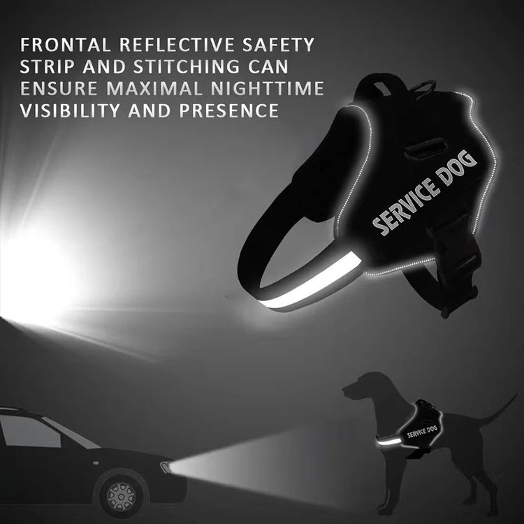 Personalized No Pull Dog Harness