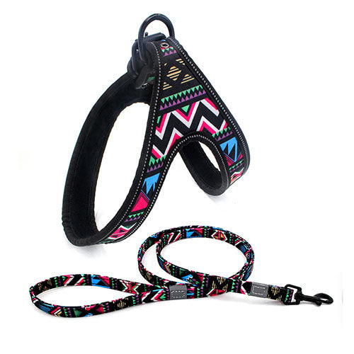 Colorful Dog Leash Dog Walking Rope Small and Medium-Sized Dog Explosion-Proof Dog Chain