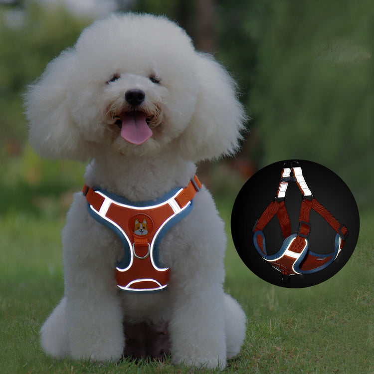 Comfort & Safety: Reflective No-Pull Harness and Leash Set