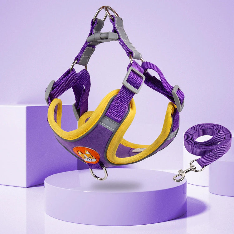 Comfort & Safety: Reflective No-Pull Harness and Leash Set