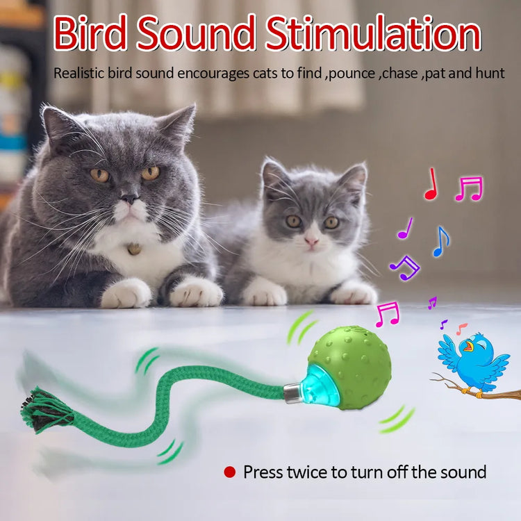 Cat Rolling Ball Toy MotionActivated with Bird Sounds