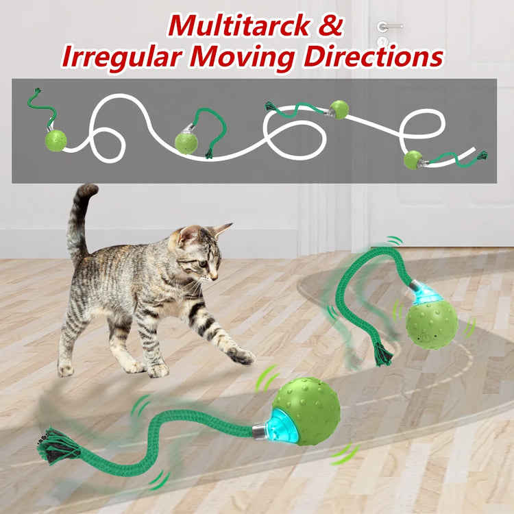 Cat Rolling Ball Toy MotionActivated with Bird Sounds