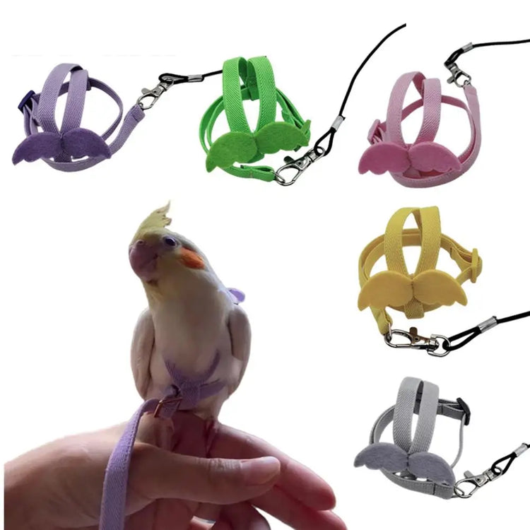 Ultra-Light Parrot Bird Flying Traction Rope Straps Band Adjustable Parrot Harness Outgoing Leash with Comfortable Handle