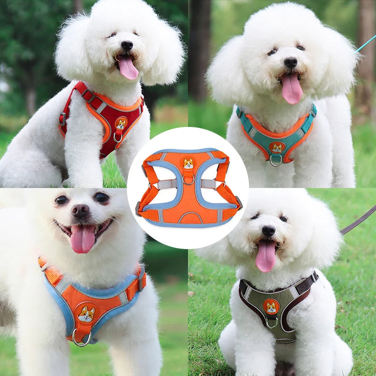 Comfort & Safety: Reflective No-Pull Harness and Leash Set