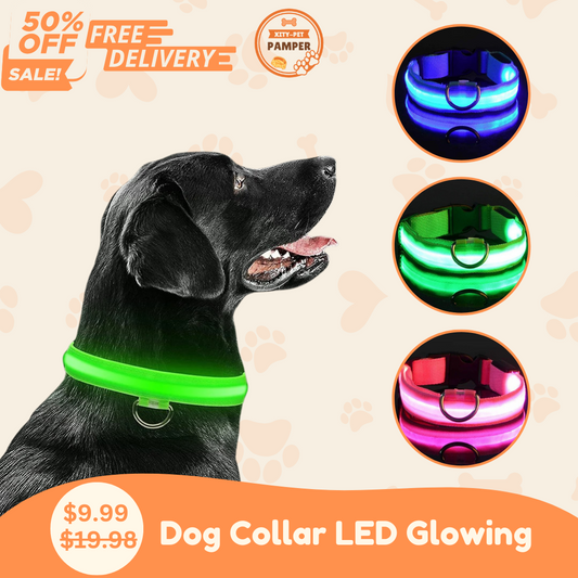 Pet Collars and Leash LED
