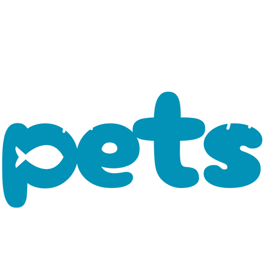 Trending Pet Toys