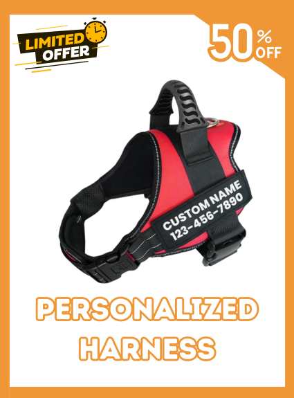 Custom Dog Harness Adjustable Neck Strip & Chest Strip Dog Harness