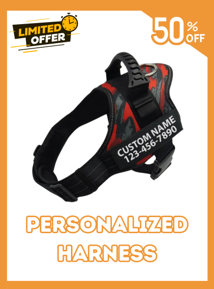 Custom Dog Harness Adjustable Neck Strip & Chest Strip Dog Harness