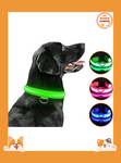 Dog Collar LED Glowing