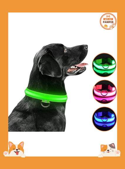 Dog Collar LED Glowing