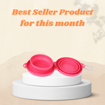 Foldable Pet Feeding Bowl