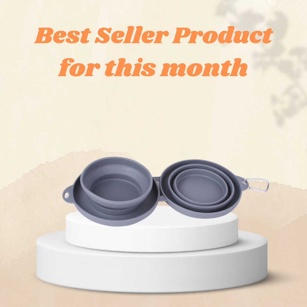 Foldable Pet Feeding Bowl