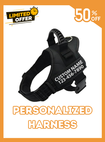 Custom Dog Harness Adjustable Neck Strip & Chest Strip Dog Harness