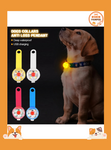 Dogs Collars Anti Loss Pendant Waterproof