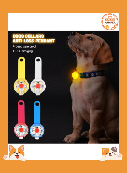 Dogs Collars Anti Loss Pendant Waterproof