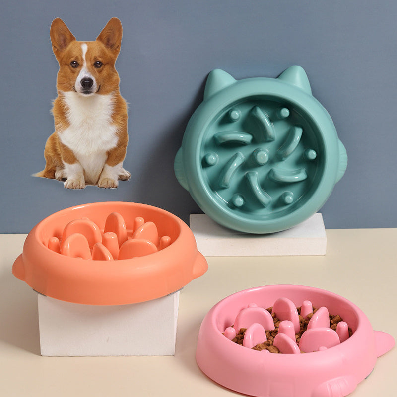 Pets Slow Feeder Dog Bowl