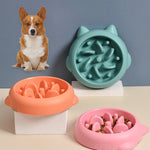 Pets Slow Feeder Dog Bowl
