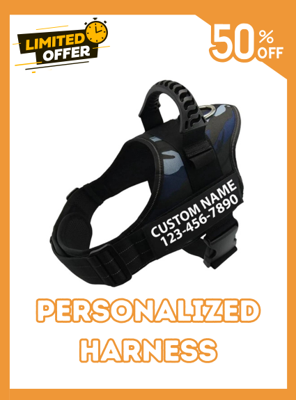 Custom Dog Harness Adjustable Neck Strip & Chest Strip Dog Harness