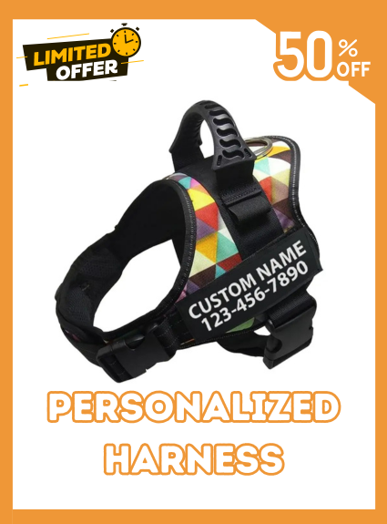 Custom Dog Harness Adjustable Neck Strip & Chest Strip Dog Harness