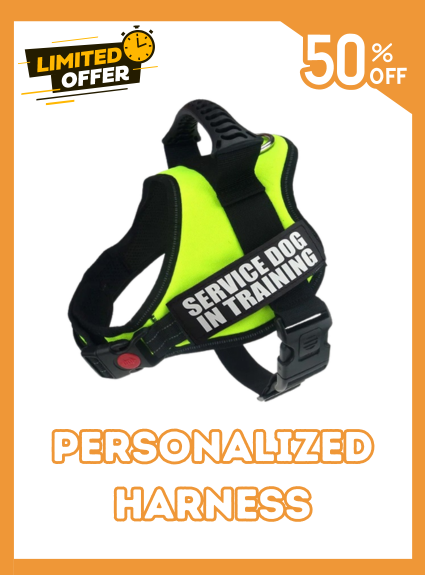 Custom Dog Harness Adjustable Neck Strip & Chest Strip Dog Harness