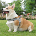 No Pull Dog Harness for Pets