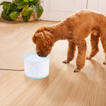 Automatic Pet Water Fountain