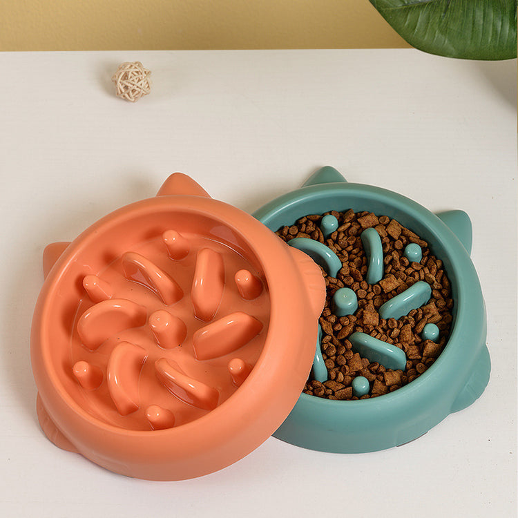 Pets Slow Feeder Dog Bowl