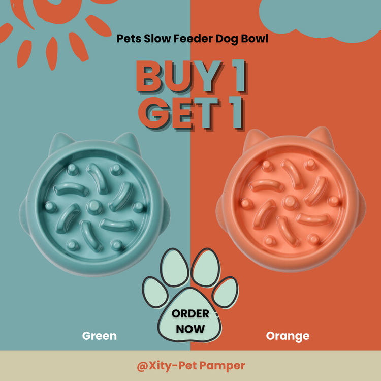 Pets Slow Feeder Dog Bowl