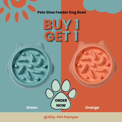 Pets Slow Feeder Dog Bowl